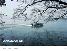Tablet Screenshot of oceancolor.org